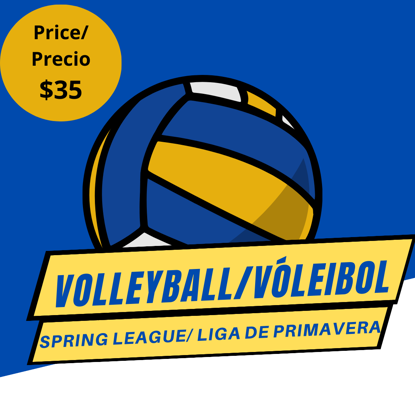 Picture of Volleyball Spring League